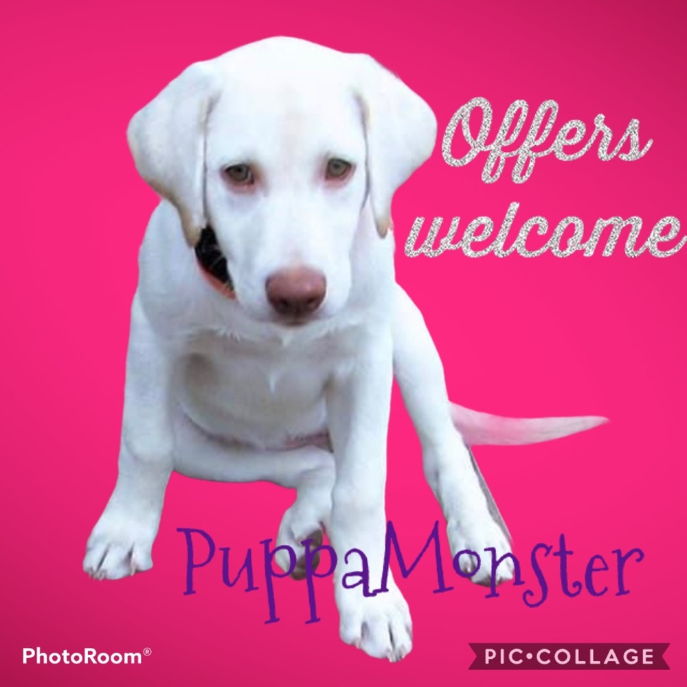 REASONABLE OFFERS WELCOME